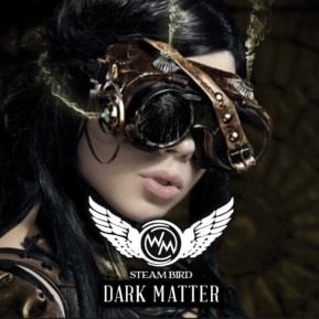 DARK MATTER By Steam Bird