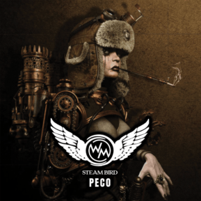PECO By Steam Bird