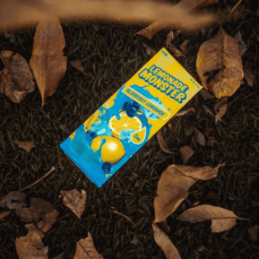 Blueberry Lemonade By Lemonade Monster