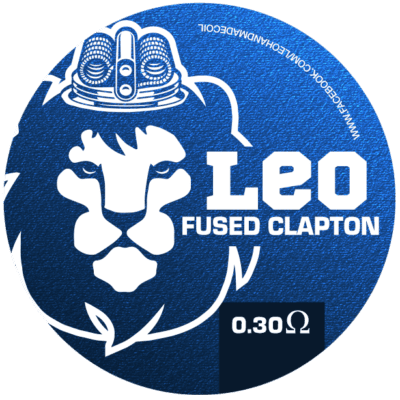DL Fused Clapton By LEO Handmade Coils