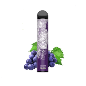 Grape Mint By VOZOL Bar 2200 Puffs Disposable Pod