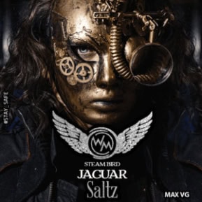 JAGUAR Saltz Max VG By Steam Bird
