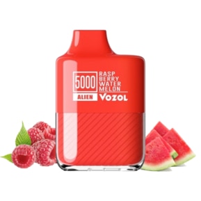 Raspberry Watermelon By VOZOL Alien 5000 Puffs Disposable Pod
