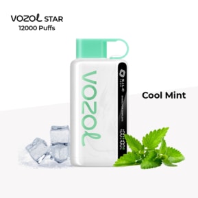 Cool Mint By VOZOL STAR 12000 Puffs Disposable Pod