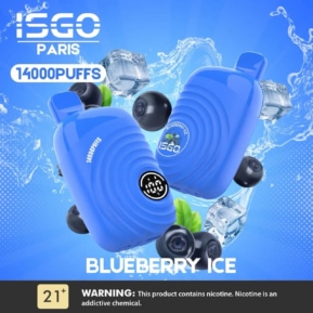 Blueberry Ice By ISGO Paris 14000 Puffs Disposable Pod