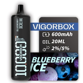 Blueberry Ice By VIGORBOX Disposable Pod 10000 Puffs