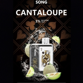 Cantaloupe By SONG Win Series 9000 Puffs Disposable Pod