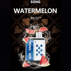 Watermelon By SONG Win Series 9000 Puffs Disposable Pod