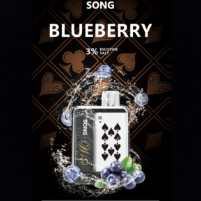 Blueberry By SONG Win Series 9000 Puffs Disposable Pod