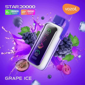 Grape Ice By VOZOL Star 20000 Puffs Disposable Pod