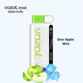 Sour Apple Mint By VOZOL STAR 12000 Puffs Disposable Pod