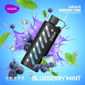 Blueberry Mint By VOZOL GEAR SHISHA 25000 Puffs Disposable Pod