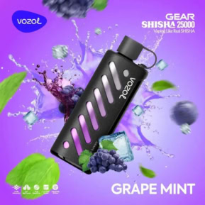 Grape Mint By VOZOL GEAR SHISHA 25000 Puffs Disposable Pod