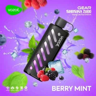 Berry Mint By VOZOL GEAR SHISHA 25000 Puffs Disposable Pod