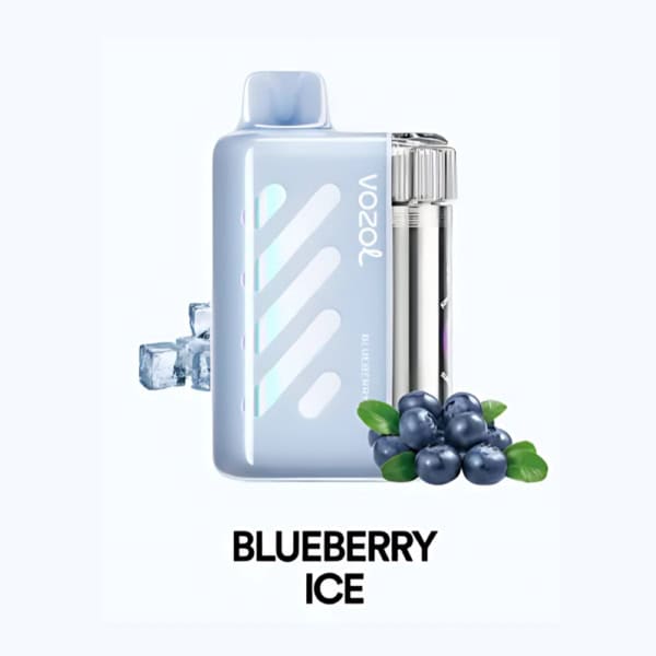 Blueberry Ice By VOZOL VISTA 40K Puffs Disposable Pod
