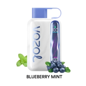 Blueberry Mint By VOZOL STAR 40000 Puffs Disposable Pod