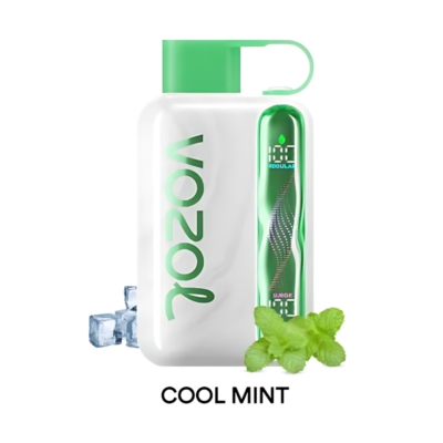 Cool Mint By VOZOL STAR 40000 Puffs Disposable Pod