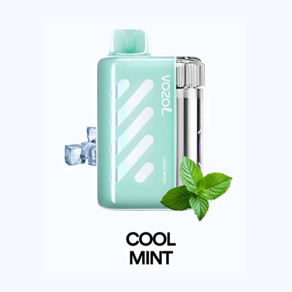 Cool Mint By VOZOL VISTA 40K Puffs Disposable Pod