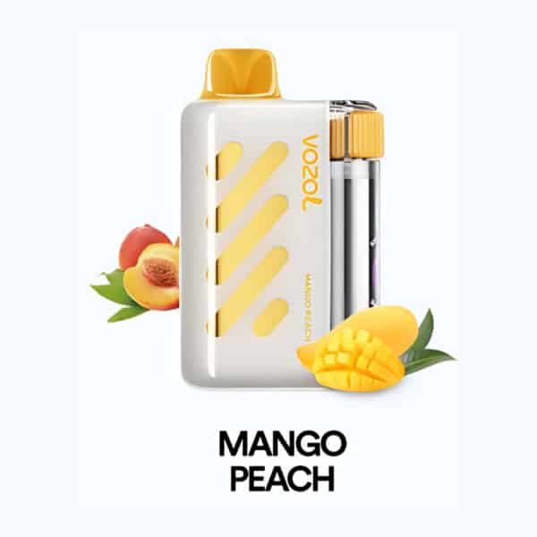 Mango Peach By VOZOL VISTA 40K Puffs Disposable Pod