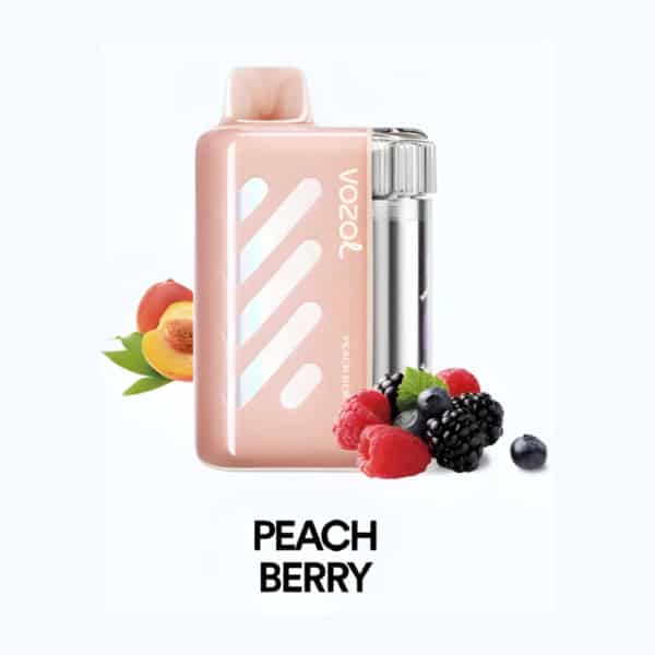 Peach Berry By VOZOL VISTA 40K Puffs Disposable Pod