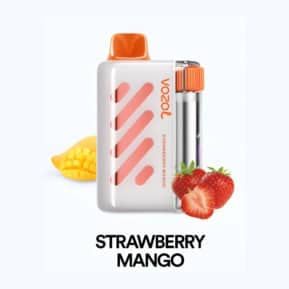 Strawberry Mango By VOZOL VISTA 40000 Puffs Disposable Pod