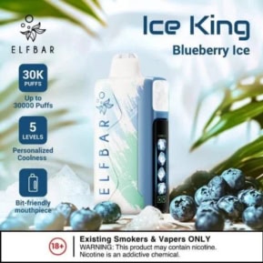 Blueberry Ice By ELFBAR Ice King 30000 Puffs Disposable pod