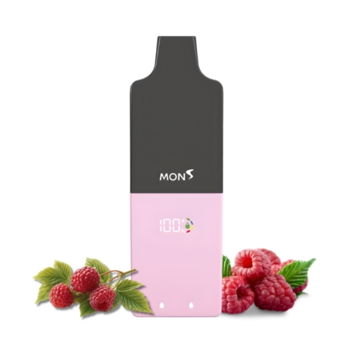 Shine Raspberry By Bubble Mon 18K Puffs Disposable Pod