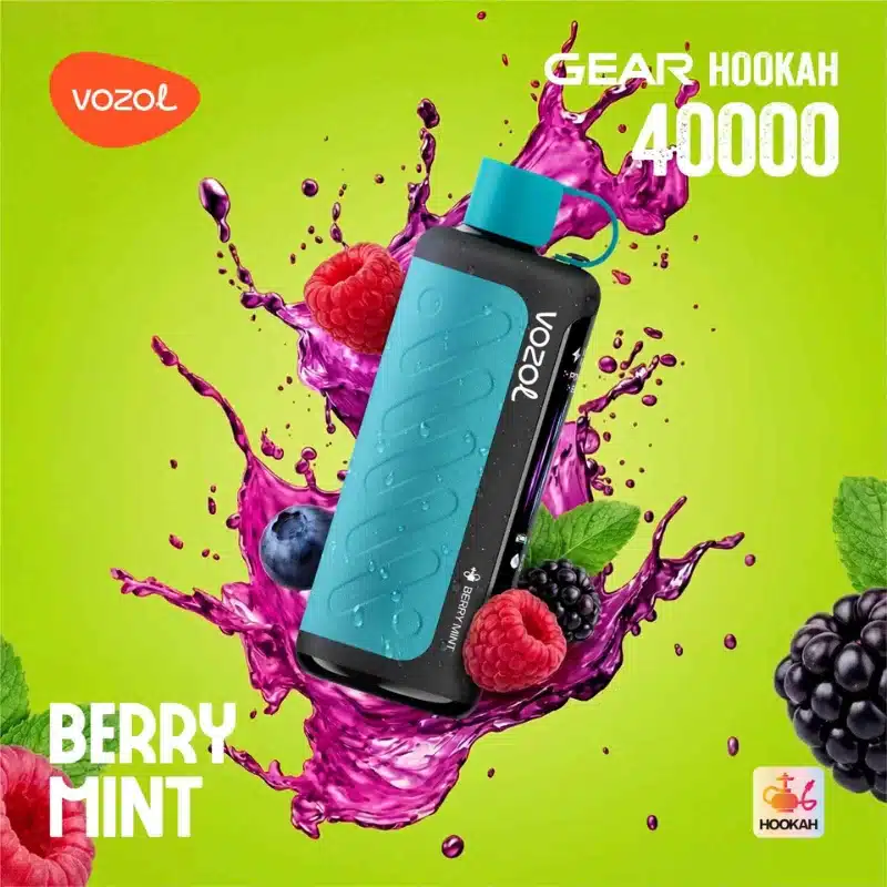 Berry Mint By VOZOL GEAR Hookah 40K Puffs Disposable