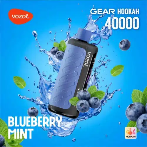 Blueberry Mint By VOZOL GEAR Hookah 40K Puffs Disposable