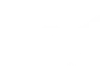 Steam Bird Brand