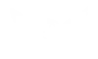 Steam Bird Brand