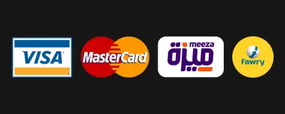 Visa, Mastercard, Meeza, Fawry