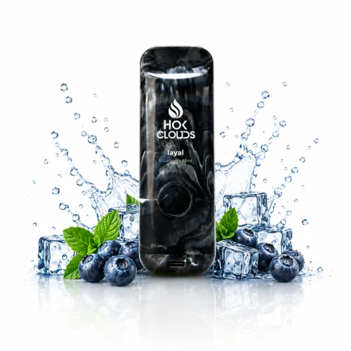 Blueberry Mint By HOK Clouds Layal 9900 Puffs Disposable Vape