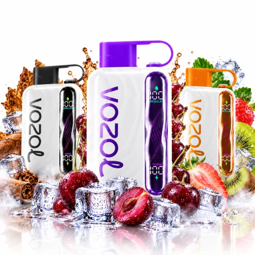VOZOL Disposable Vapes
